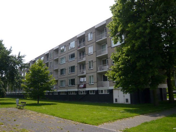 Langeplaat 125, Rozenburg